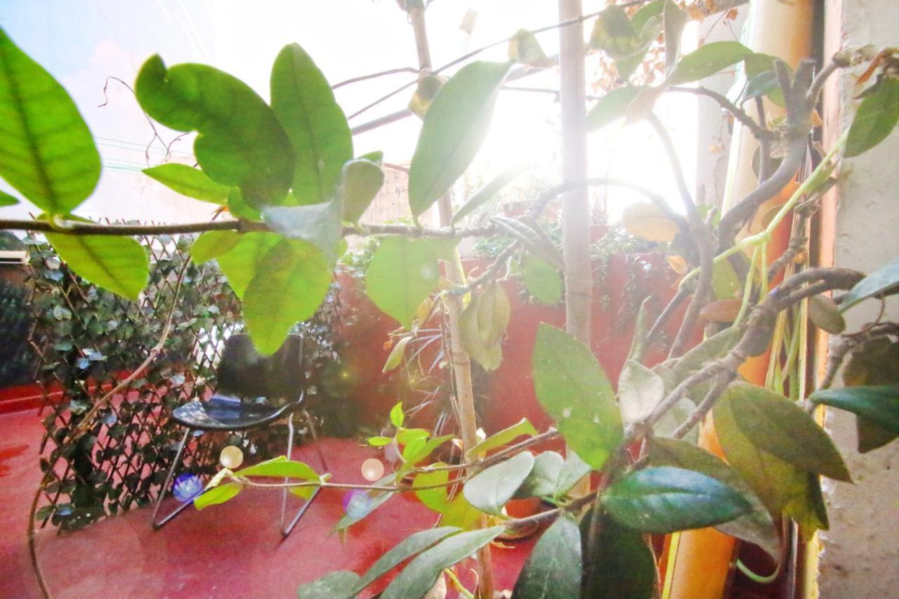 Mahalo Healthy House